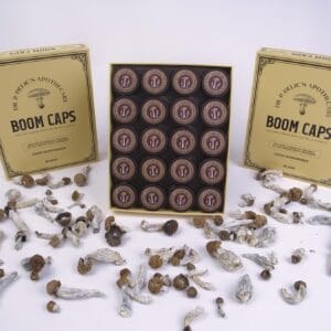 Self Guided Home Meditation